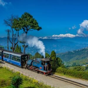 Darjeeling Tour